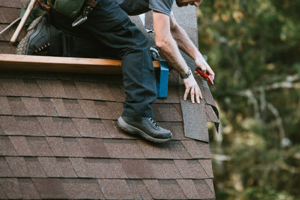 Best Roof Gutter Cleaning  in Villa Rica, GA